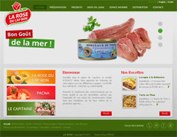 Site Web Dynamique de La société des produits Alimentaires Concentrés Nord Africaine , SODACO