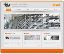 site web dynamique, TIS